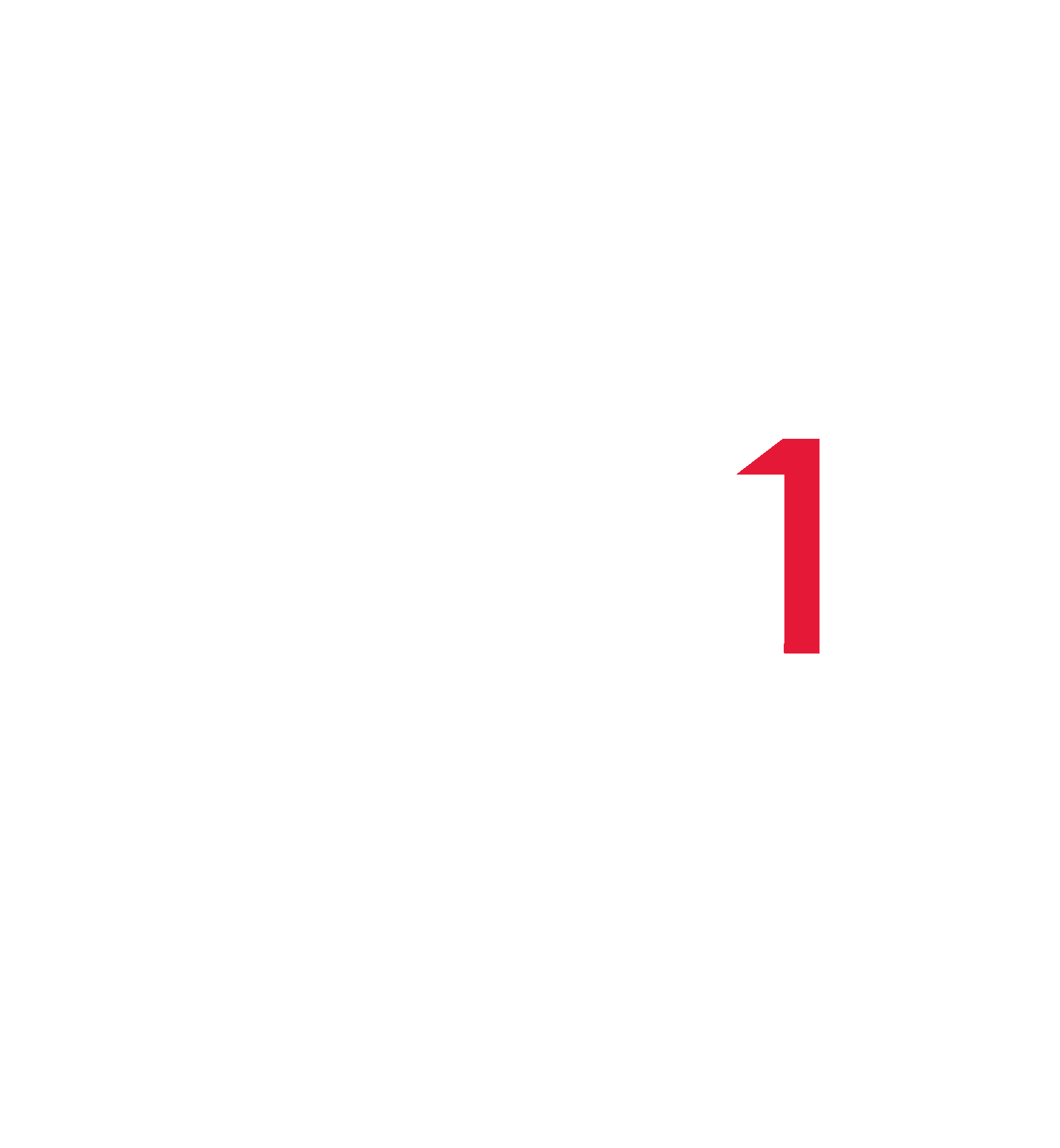 Robertstown-Orca-Racesuits-RS1-Logo