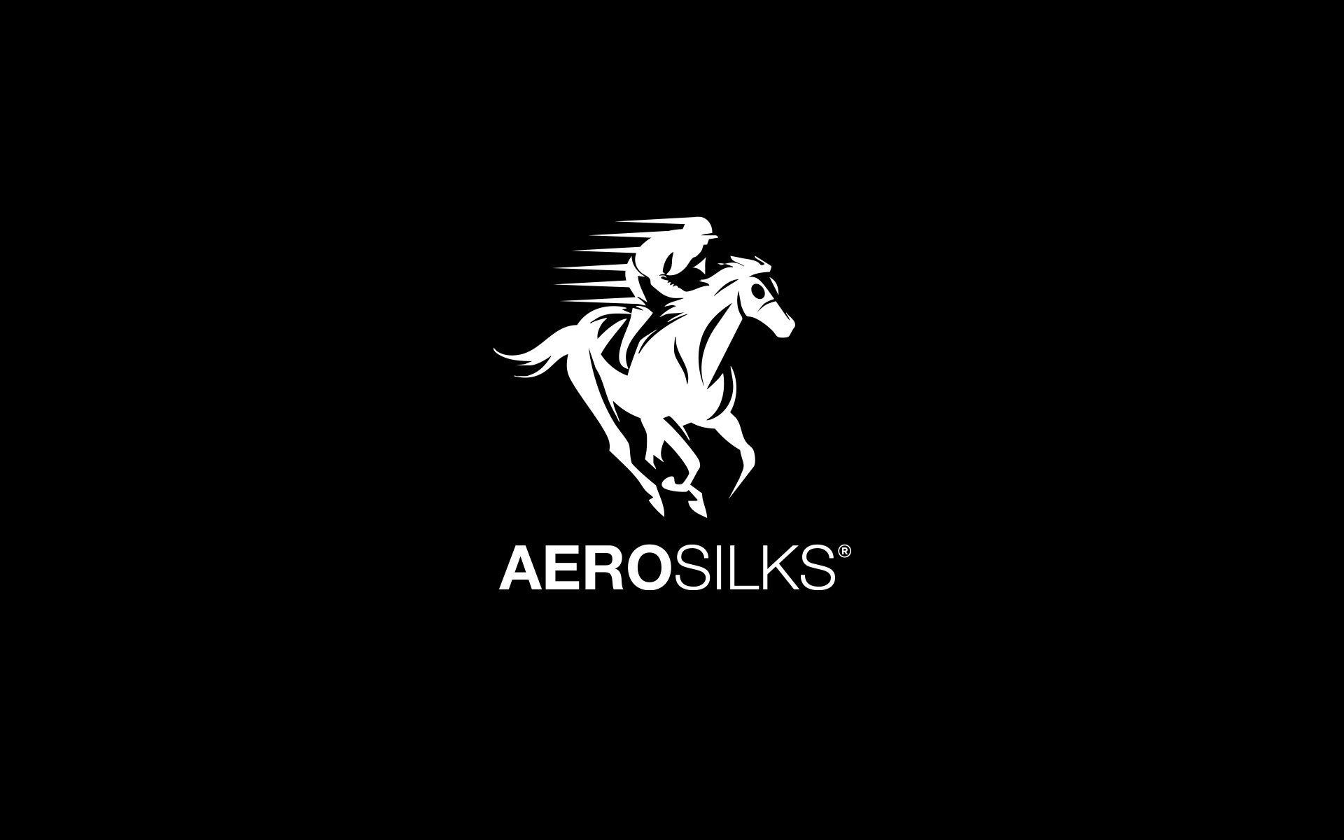 AEROSILKS